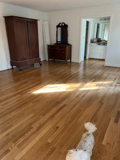 luxury vinyl flooring installation example in Releigh NC