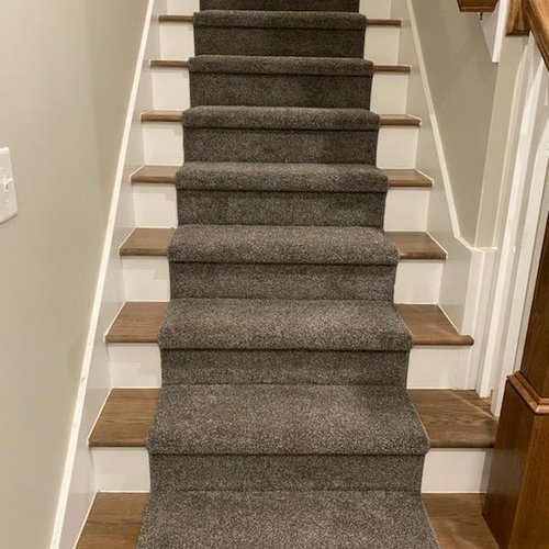 Preferred_Runner-Dreamweaver_2